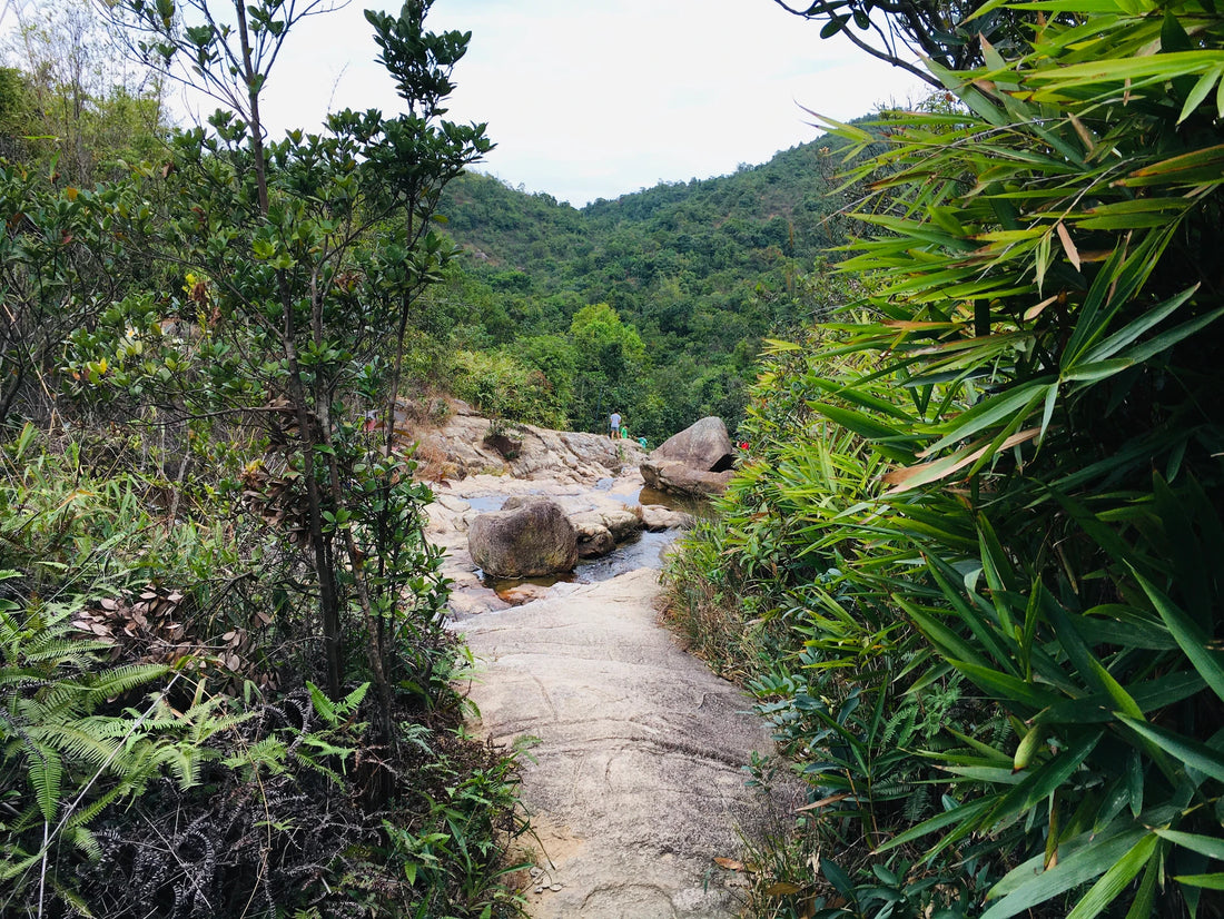 Hiking Guide: Conquer the Famous Braemar Hill Trail